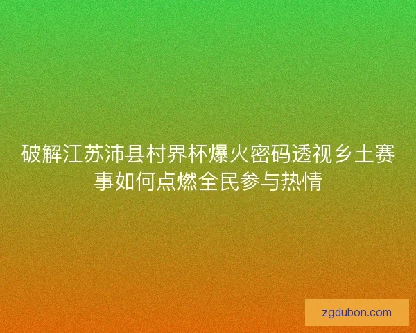 破解江苏沛县村界杯爆火密码透视乡土赛事如何点燃全民参与热情