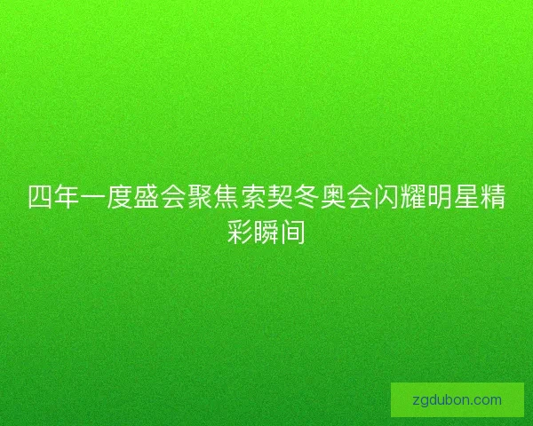 四年一度盛会聚焦索契冬奥会闪耀明星精彩瞬间 四年一度盛会聚焦索契冬奥会闪耀明星精彩瞬间